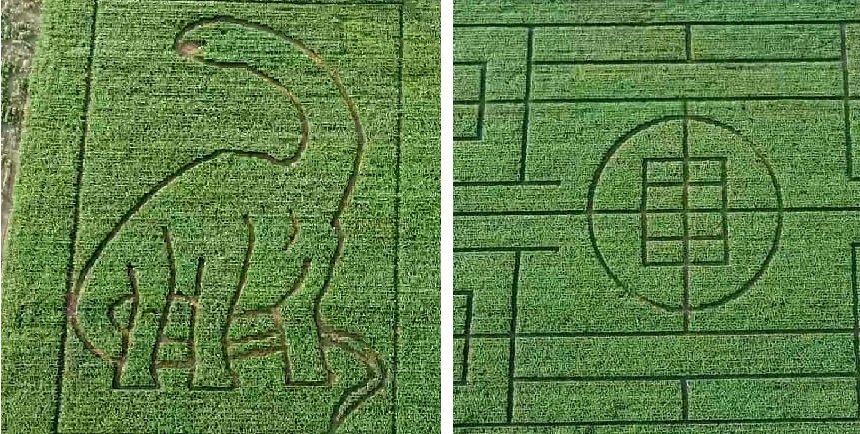 Neďaleko Trnavy otvorili unikátny kukuričný  labyrint
