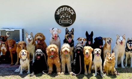 Woof Pack je mimoriadne psie centrum. Okrem výcviku vašich domácich miláčikov dokáže naučiť psov usmiať sa do objektívu!