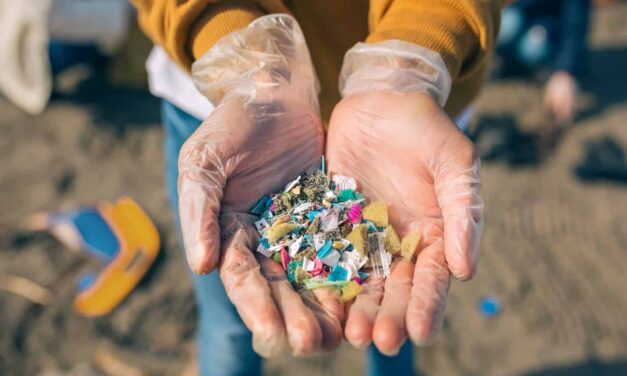 Nový spôsob odstraňovania mikroplastov z oceánov!?