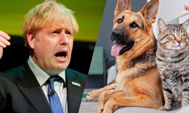 Minulý rok vydal Johnson príkaz evakuovať psy a mačky z Afganistanu!