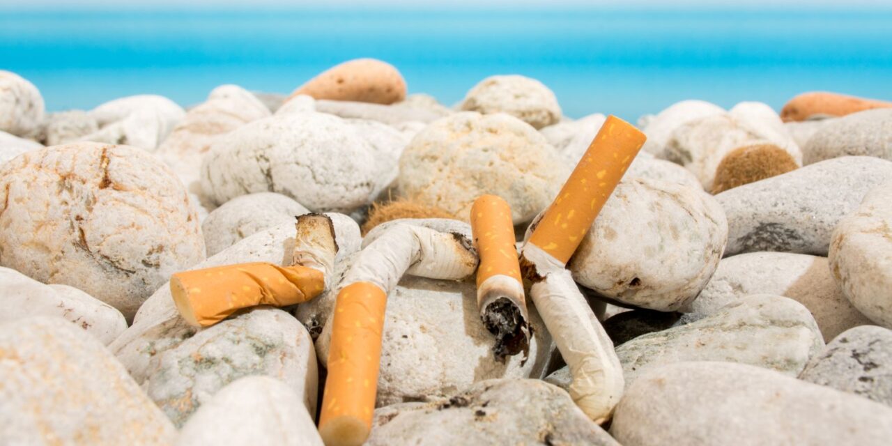 Cigarety sú číslo 1 v rebríčku 10 najbežnejších foriem odpadu, holandský poslanci chcú zákaz filtrov s plastom!?