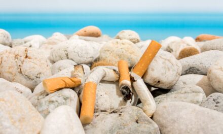 Cigarety sú číslo 1 v rebríčku 10 najbežnejších foriem odpadu, holandský poslanci chcú zákaz filtrov s plastom!?