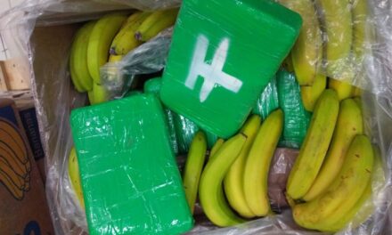 V dvoch českých supermarketoch našli balíčky s kokaínom za dve miliardy korún