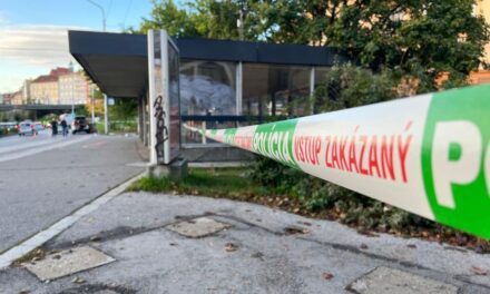 Polícia obvinila vodiča z tragédie v Bratislave, navrhuje mu väzbu