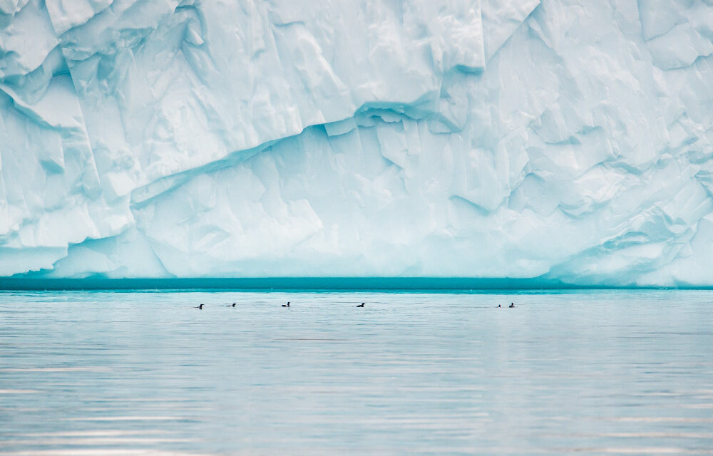 Arktický ľad sa v lete úplne roztopí o desať rokov skôr, než sa čakalo!?