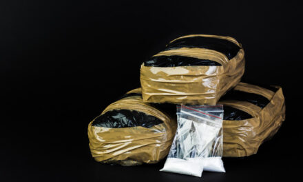 Holandsko: Colníci našli v Rotterdame kokaín v hodnote 270 miliónov eur!?